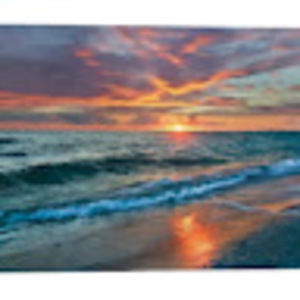 Meet your Posher, Tami